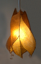 hanging-lamp-$80cnd